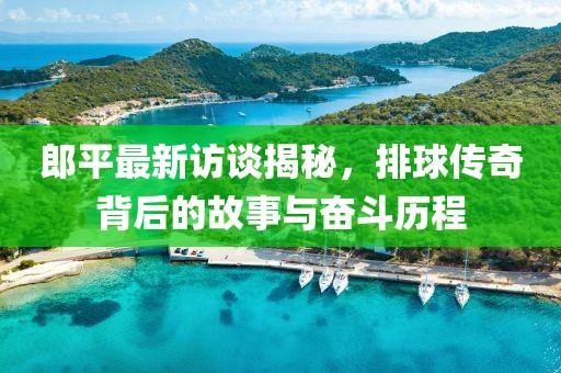 郎平最新访谈揭秘，排球传奇背后的故事与奋斗历程