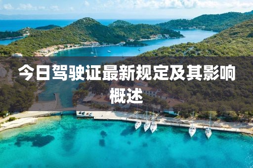 今日驾驶证最新规定及其影响概述
