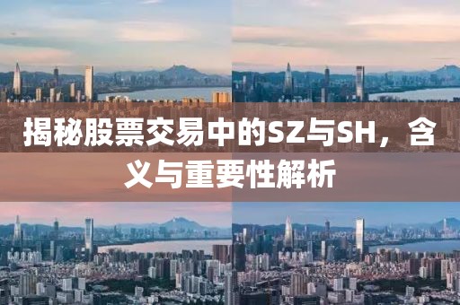 揭秘股票交易中的SZ与SH，含义与重要性解析