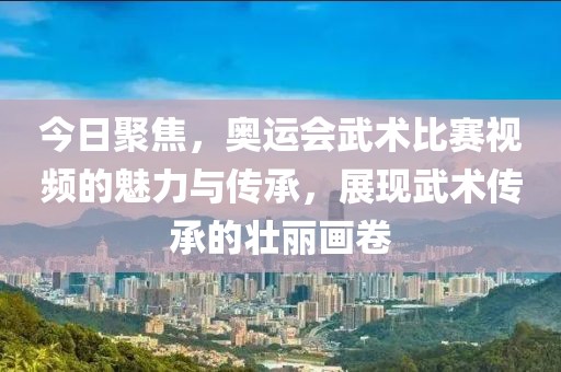 今日聚焦，奥运会武术比赛视频的魅力与传承，展现武术传承的壮丽画卷