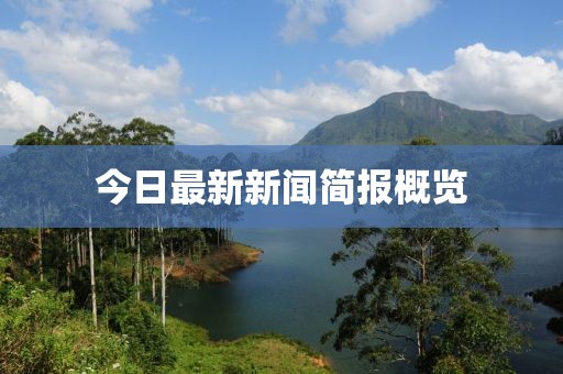 今日最新新闻简报概览