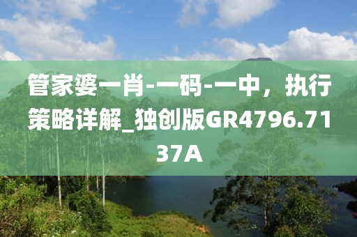 管家婆一肖-一码-一中，执行策略详解_独创版GR4796.7137A