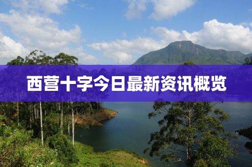 冰雨微凉 第4页