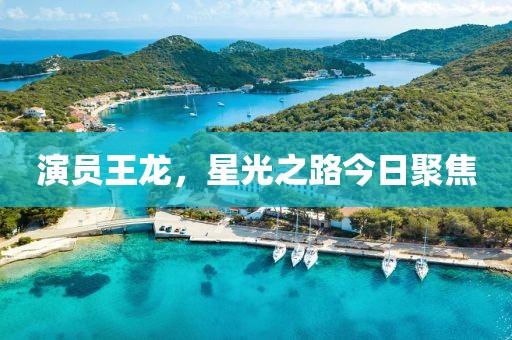 演员王龙，星光之路今日聚焦