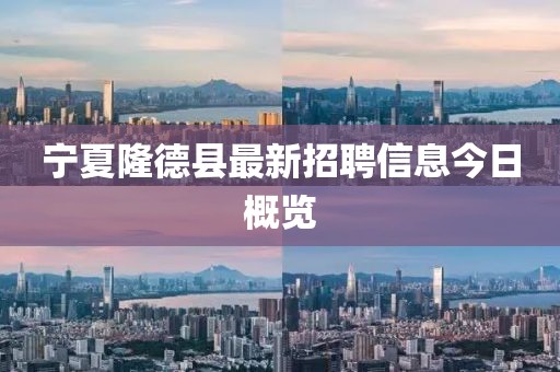 宁夏隆德县最新招聘信息今日概览
