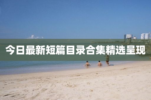 今日最新短篇目录合集精选呈现