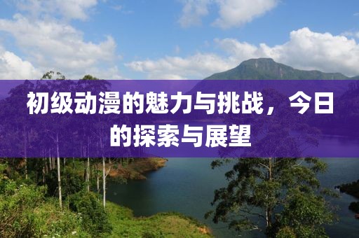 初级动漫的魅力与挑战，今日的探索与展望