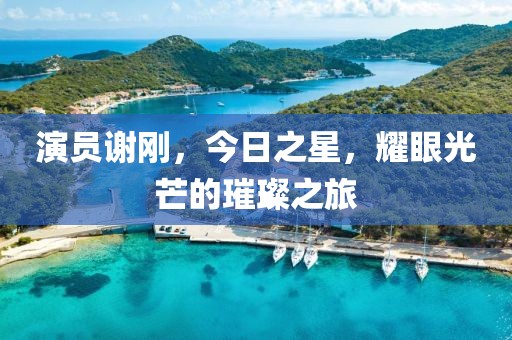 演员谢刚，今日之星，耀眼光芒的璀璨之旅