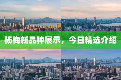 杨梅新品种展示，今日精选介绍