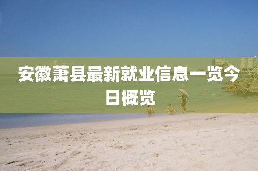 安徽萧县最新就业信息一览今日概览