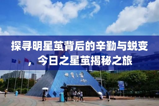 探寻明星茧背后的辛勤与蜕变，今日之星茧揭秘之旅