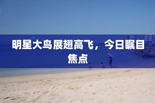 明星大鸟展翅高飞，今日瞩目焦点