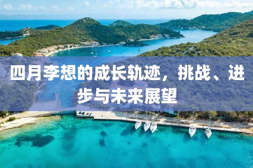 四月李想的成长轨迹，挑战、进步与未来展望