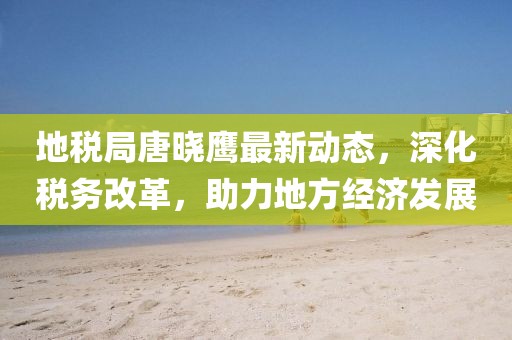 地税局唐晓鹰最新动态，深化税务改革，助力地方经济发展