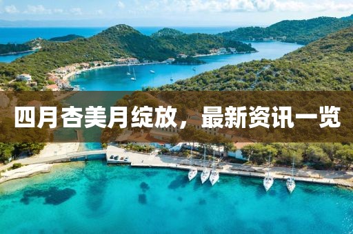 四月杏美月绽放，最新资讯一览