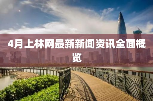 4月上林网最新新闻资讯全面概览