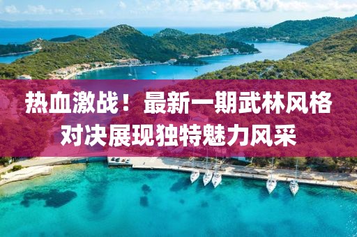 热血激战！最新一期武林风格对决展现独特魅力风采