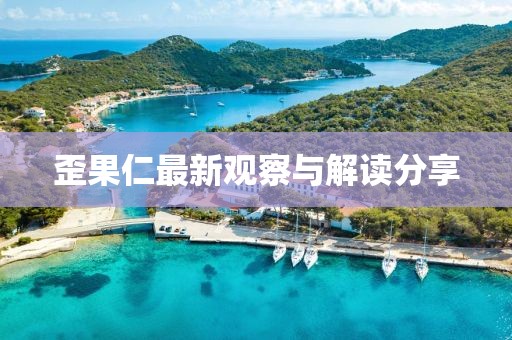 歪果仁最新观察与解读分享