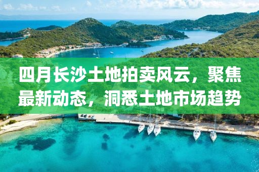 四月长沙土地拍卖风云，聚焦最新动态，洞悉土地市场趋势
