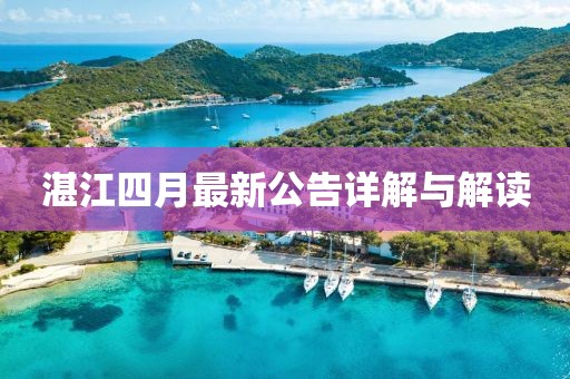 湛江四月最新公告详解与解读