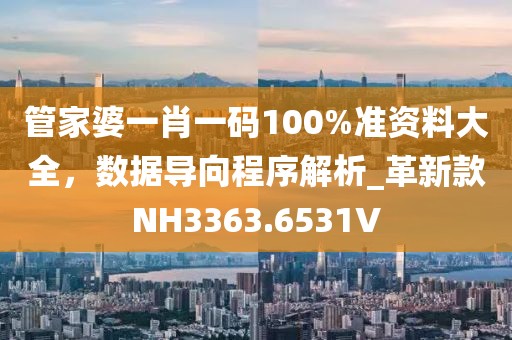 管家婆一肖一码100%准资料大全，数据导向程序解析_革新款NH3363.6531V