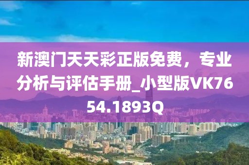 新澳门天天彩正版免费，专业分析与评估手册_小型版VK7654.1893Q