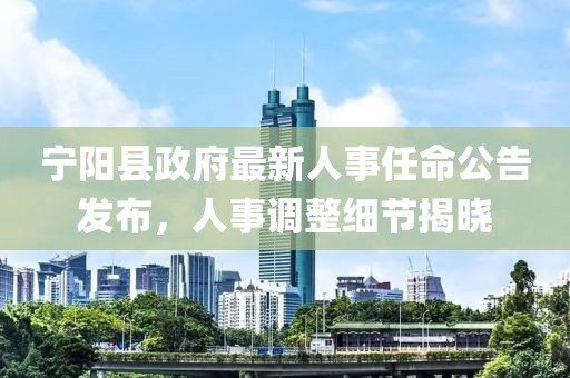 宁阳县政府最新人事任命公告发布，人事调整细节揭晓