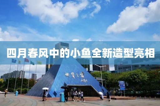四月春风中的小鱼全新造型亮相