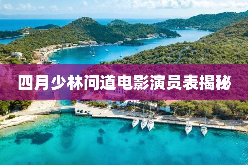 四月少林问道电影演员表揭秘