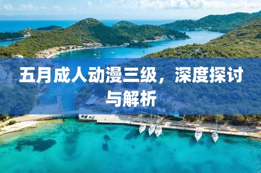 五月成人动漫三级，深度探讨与解析
