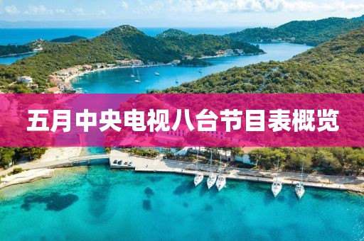 五月中央电视八台节目表概览