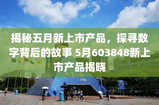 揭秘五月新上市产品，探寻数字背后的故事 5月603848新上市产品揭晓