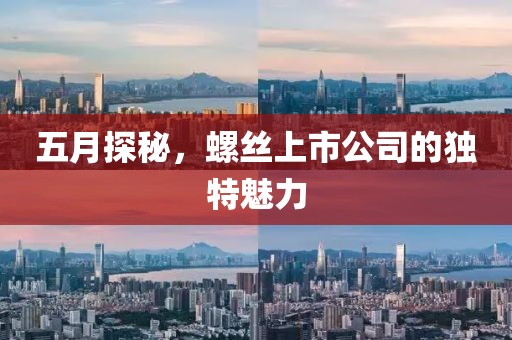 五月探秘，螺丝上市公司的独特魅力