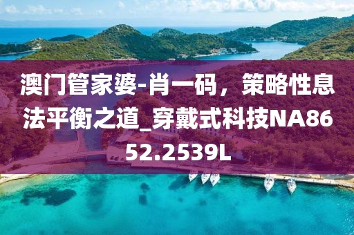 澳门管家婆-肖一码，策略性息法平衡之道_穿戴式科技NA8652.2539L