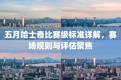 五月哈士奇比赛级标准详解，赛场规则与评估聚焦