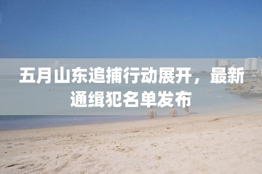 五月山东追捕行动展开，最新通缉犯名单发布