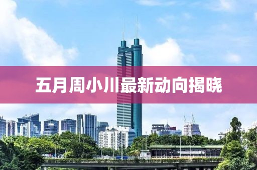 五月周小川最新动向揭晓