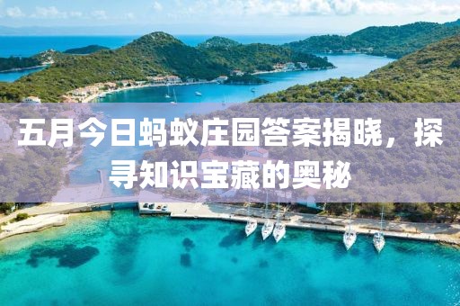 五月今日蚂蚁庄园答案揭晓，探寻知识宝藏的奥秘