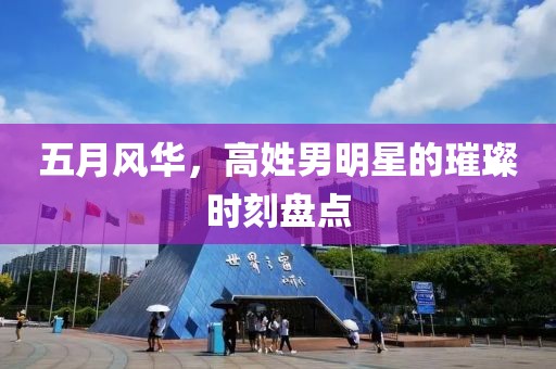五月风华，高姓男明星的璀璨时刻盘点