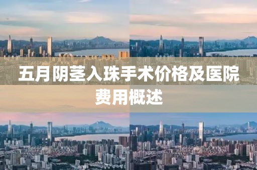 五月阴茎入珠手术价格及医院费用概述