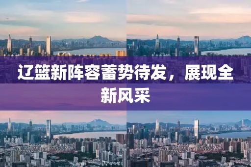 辽篮新阵容蓄势待发，展现全新风采
