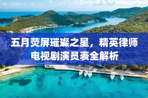 五月荧屏璀璨之星，精英律师电视剧演员表全解析