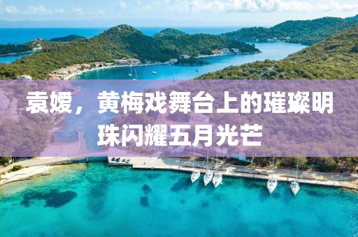 袁嫒，黄梅戏舞台上的璀璨明珠闪耀五月光芒