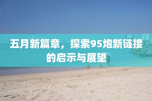 五月新篇章，探索95炮新链接的启示与展望