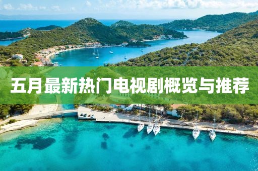 五月最新热门电视剧概览与推荐