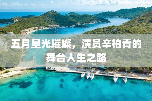 五月星光璀璨，演员辛柏青的舞台人生之路