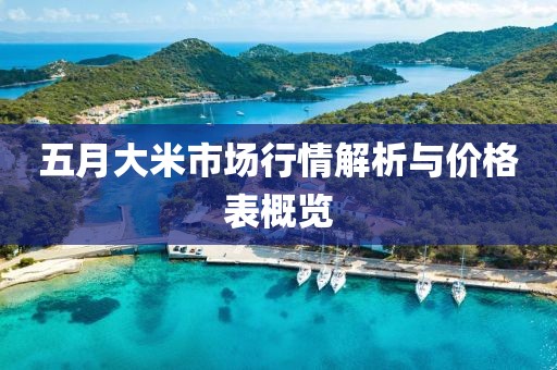 五月大米市场行情解析与价格表概览