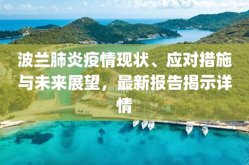 波兰肺炎疫情现状、应对措施与未来展望，最新报告揭示详情