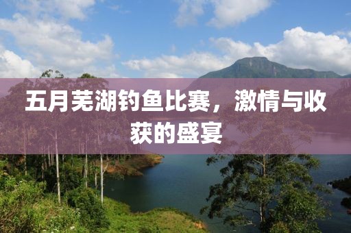五月芜湖钓鱼比赛，激情与收获的盛宴