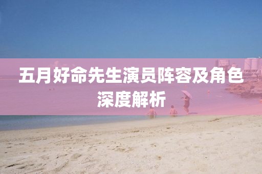 五月好命先生演员阵容及角色深度解析